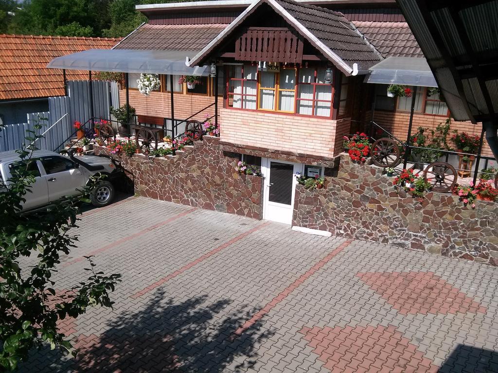 Pensiunea Irina Brad  Exterior foto